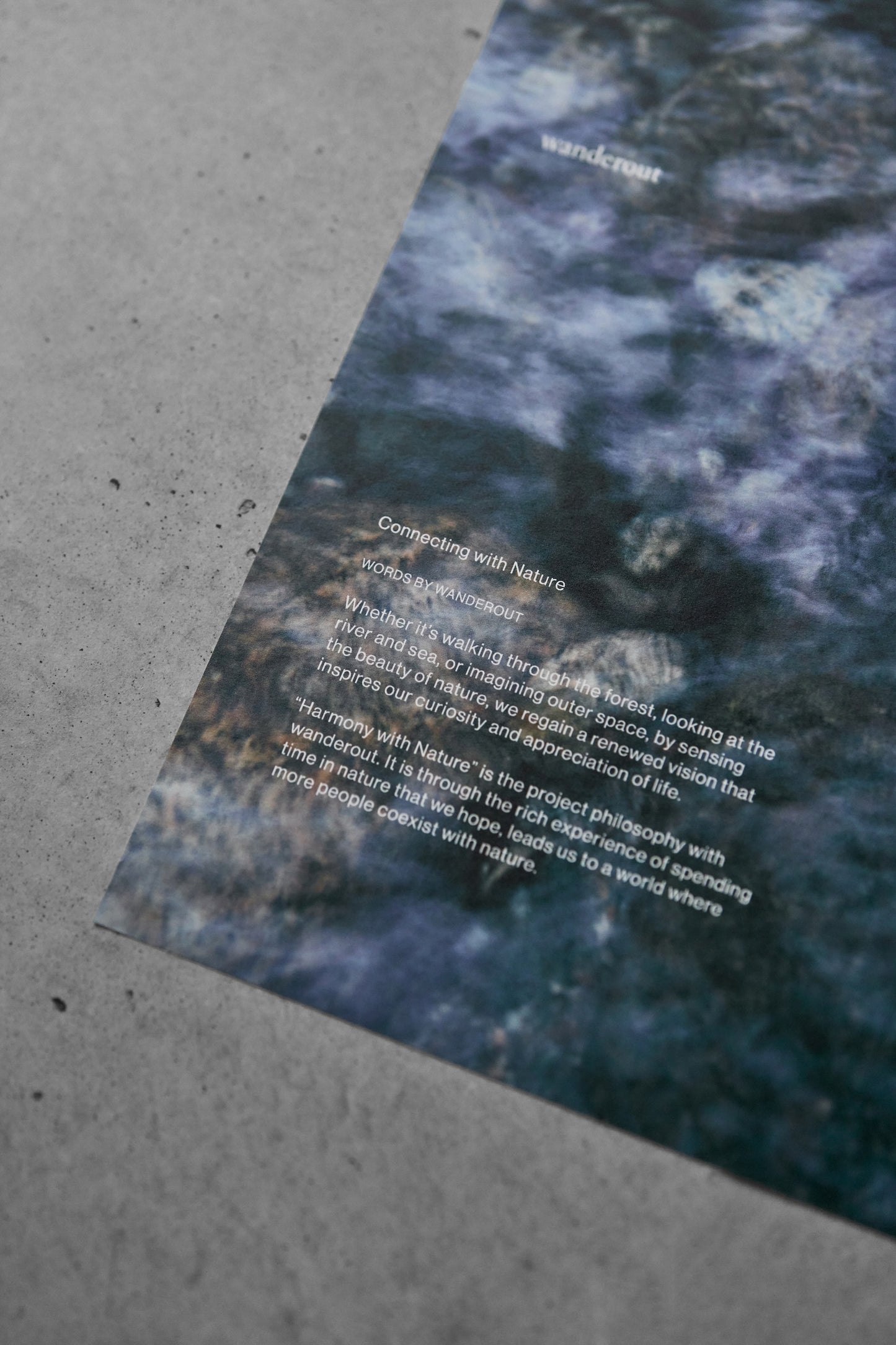 Sort for Wanderout / Limited Edition Poster 2