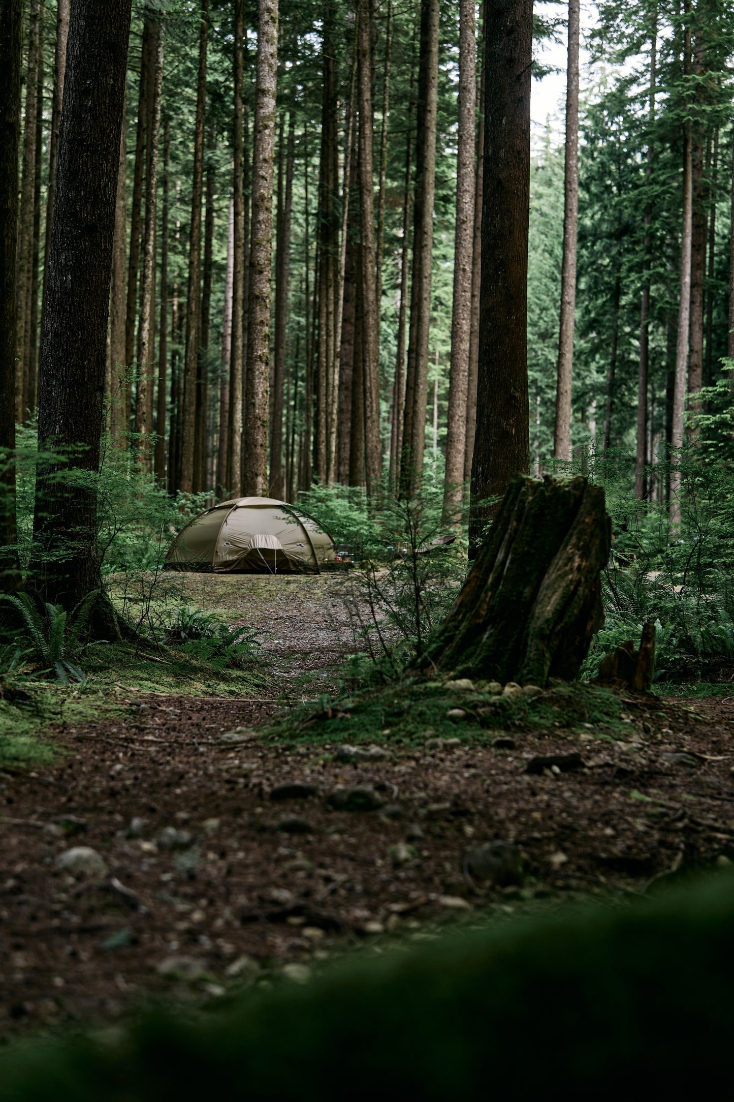 Fjallraven / Abisko Dome 2