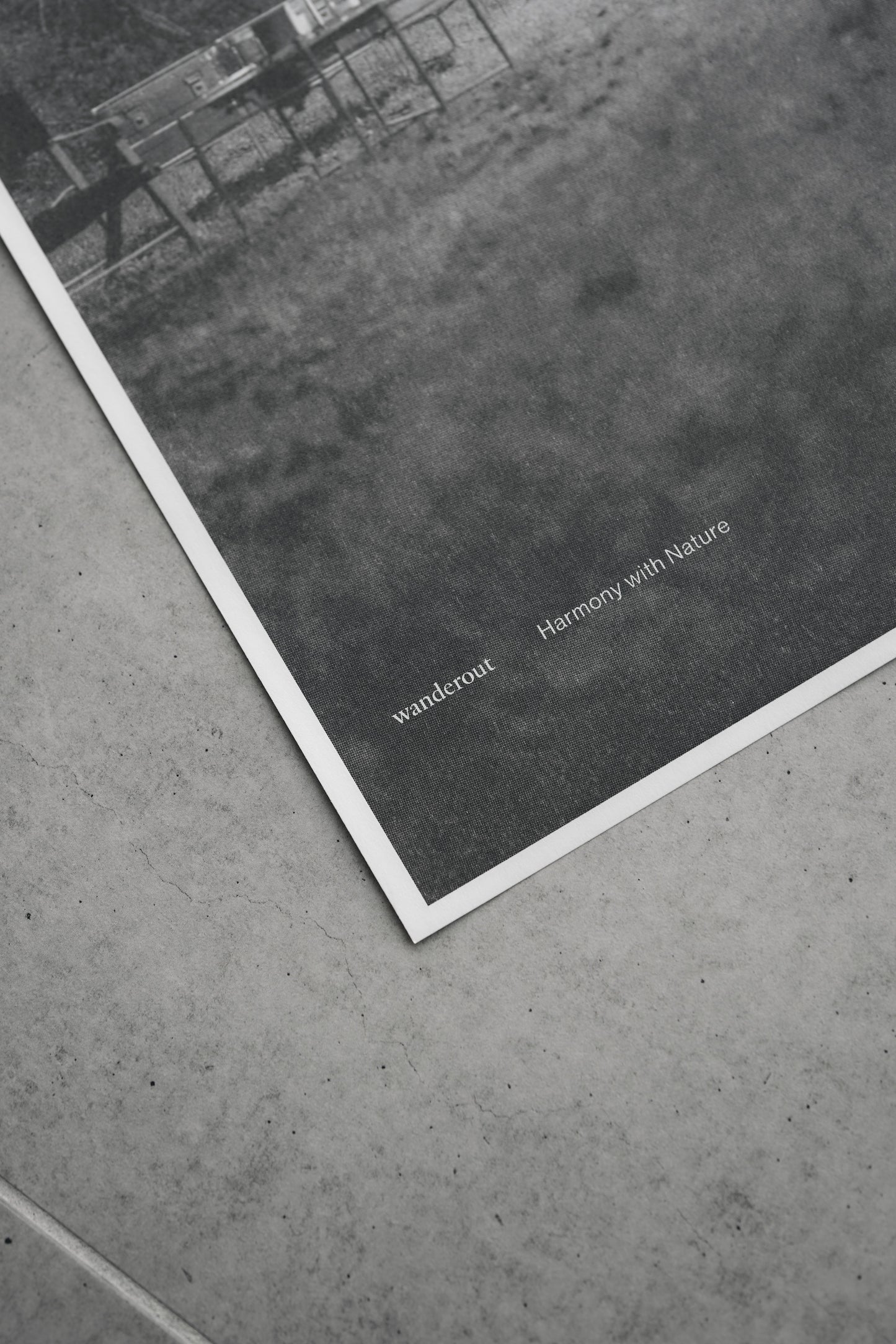 Sort for Wanderout / Limited Edition Posters