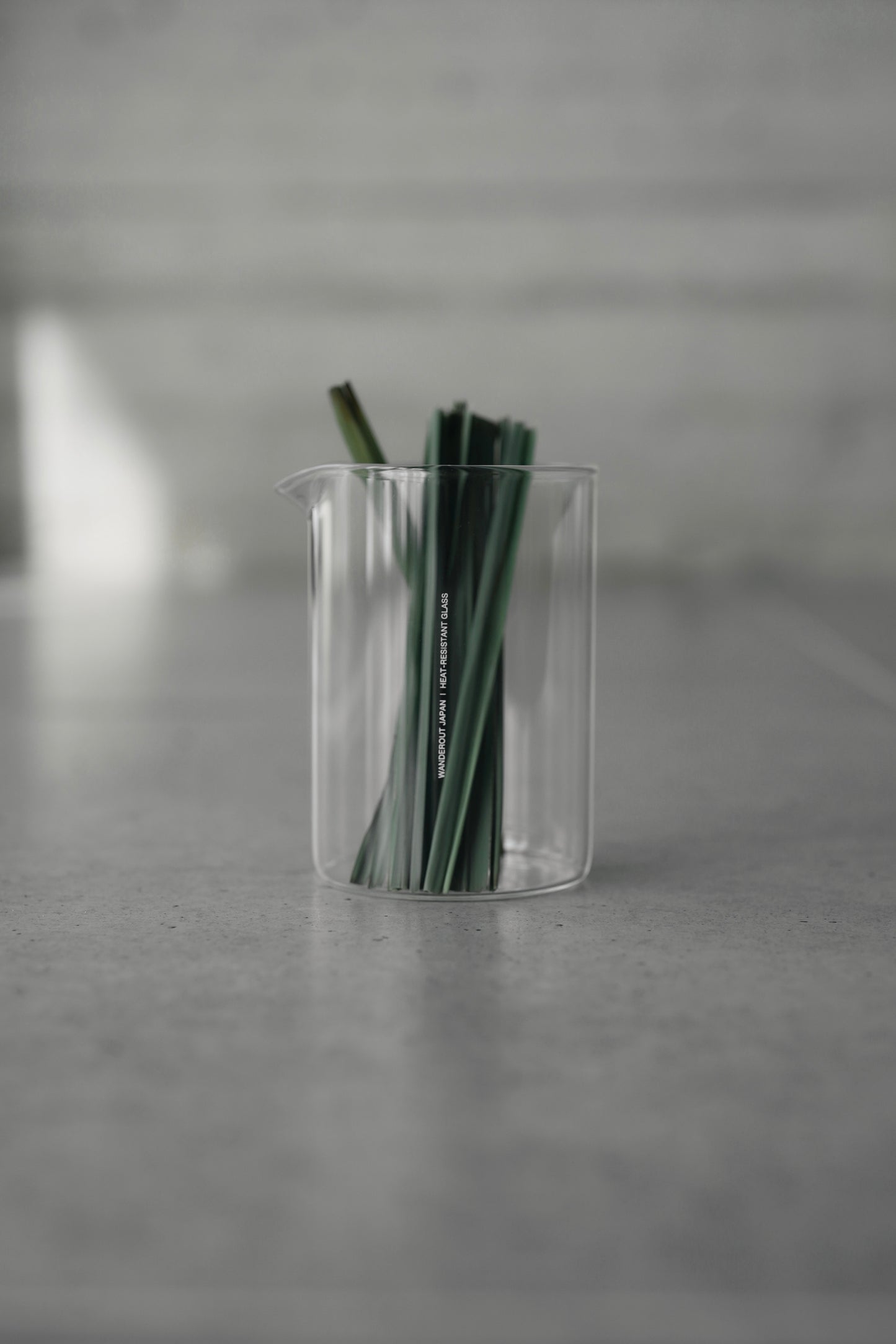 Borosil Vision Glass for Wanderout / Jug 500ml