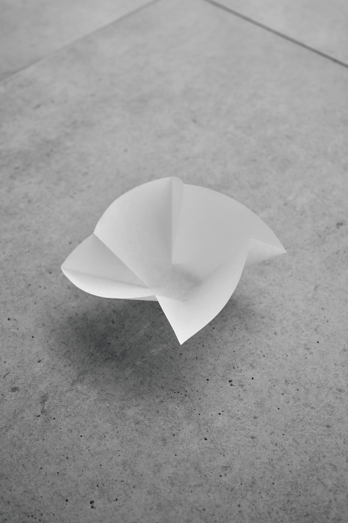 Sibarist / Flat Fast Specialty Coffee Filter Orea edition Set of 50