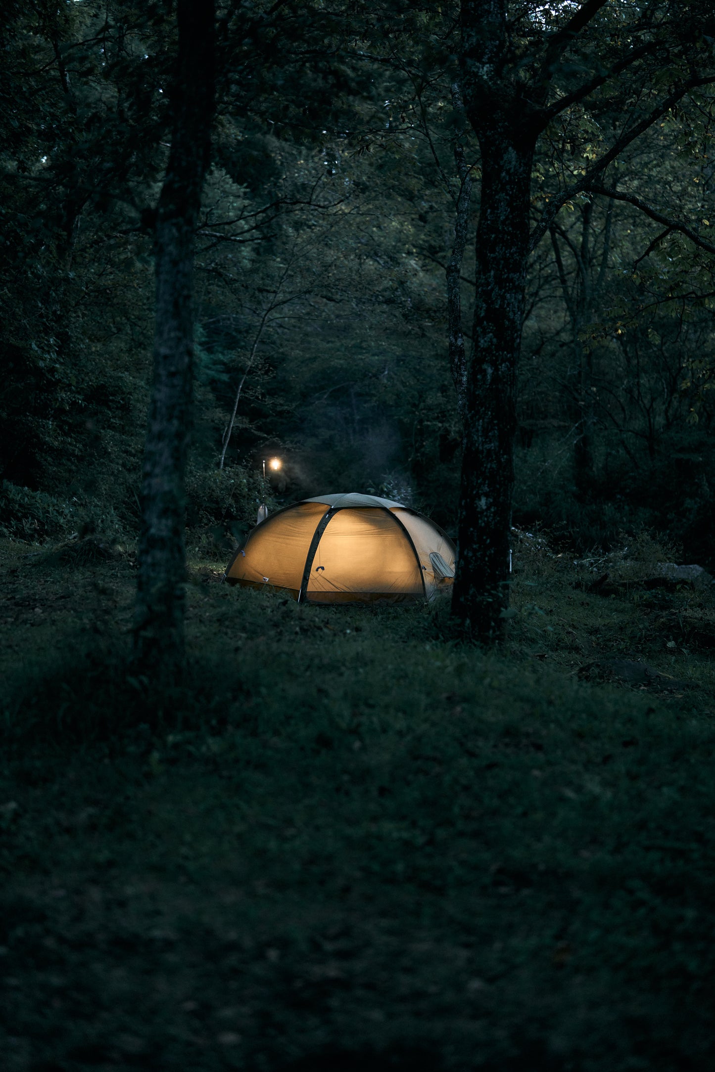 Fjallraven / Abisko Dome 2