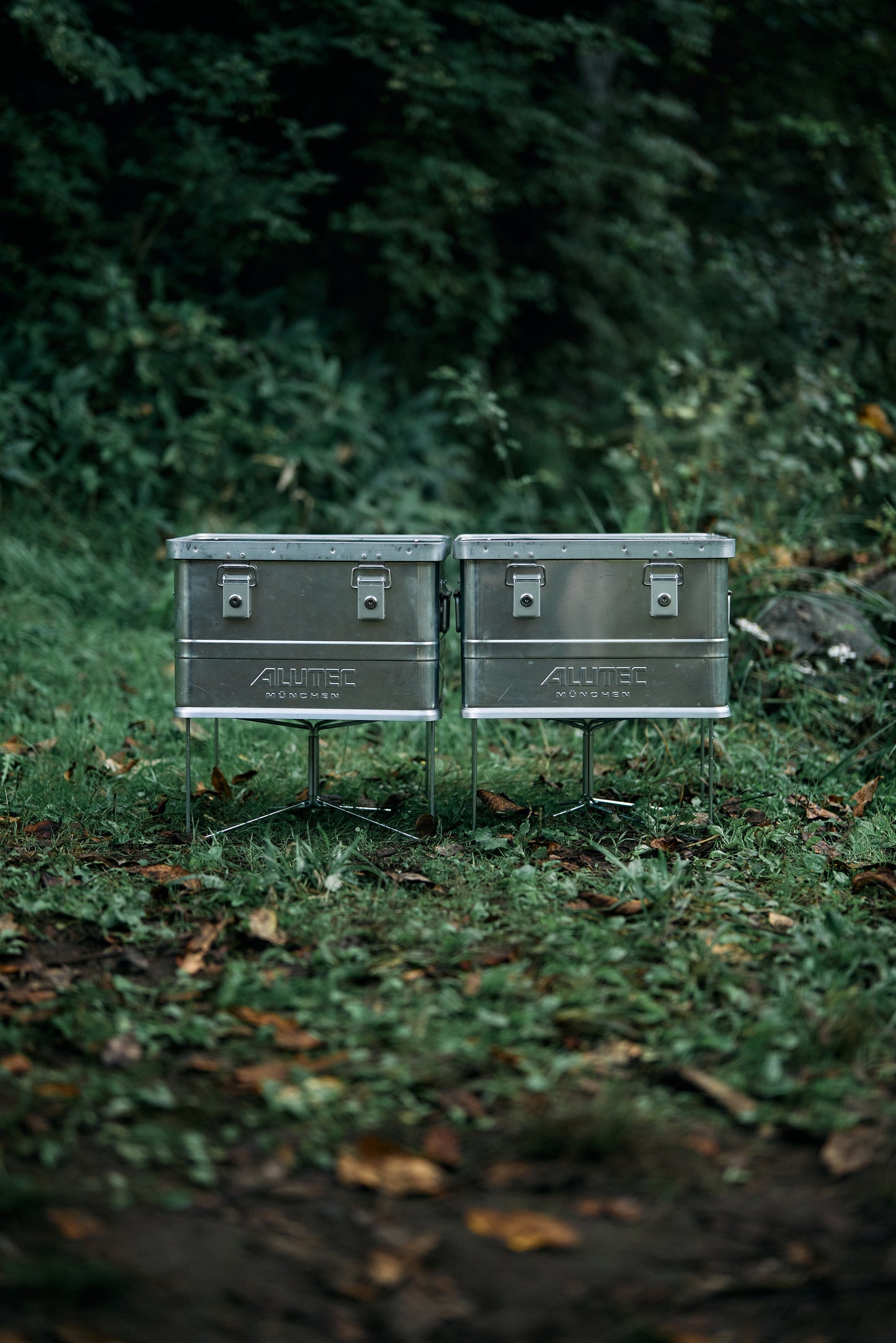 Wanderout / Universal Stand