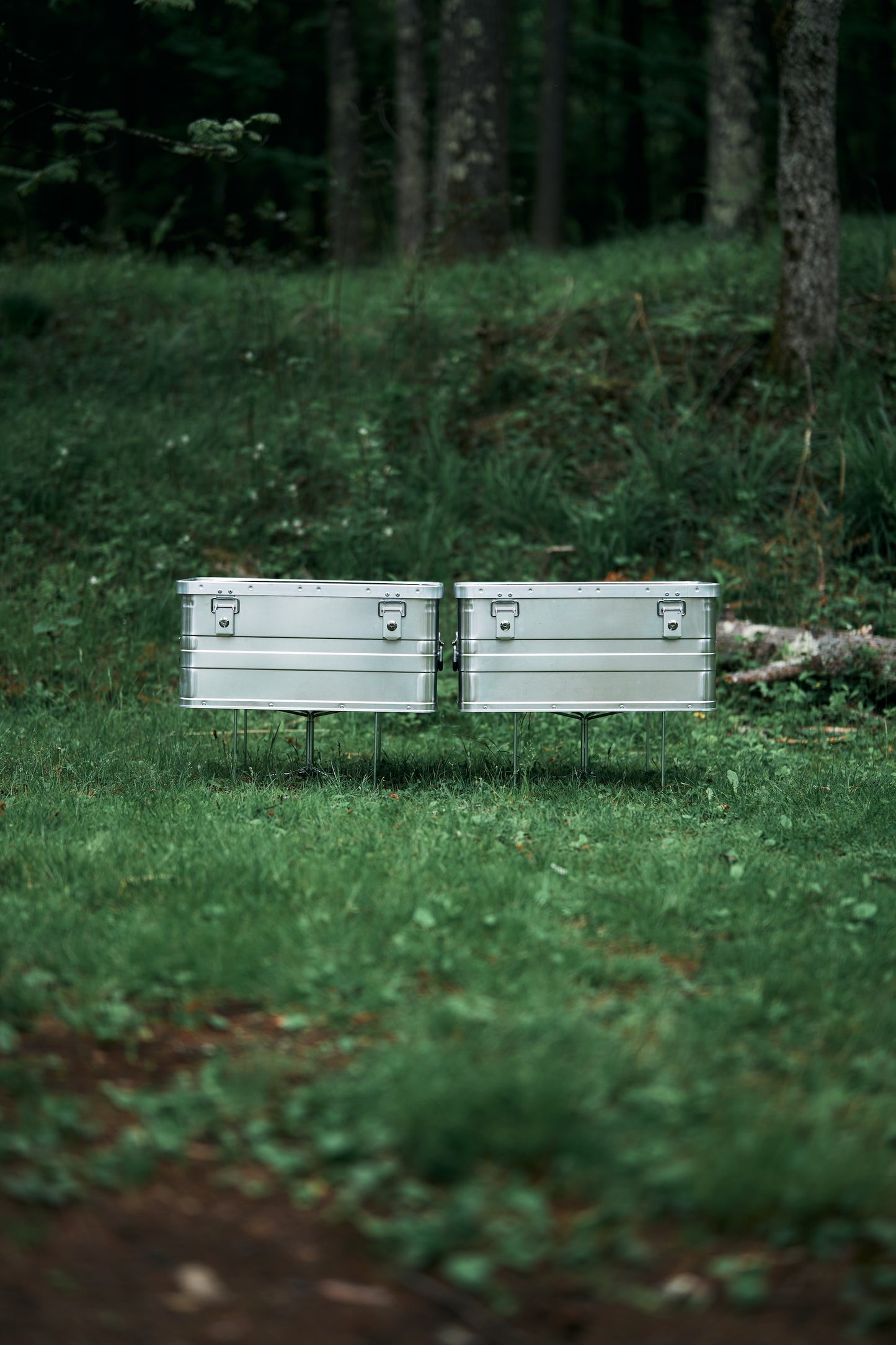 Wanderout / Universal Stand - Silver