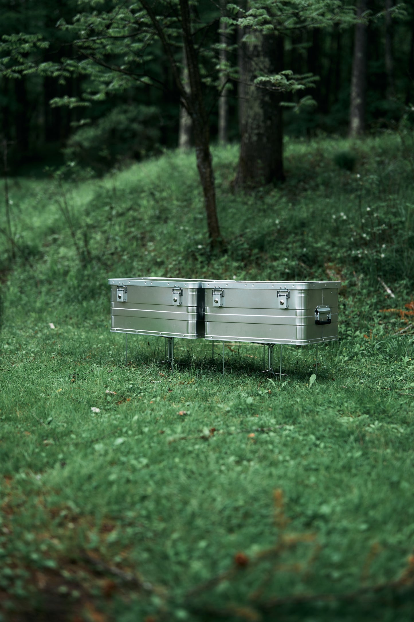 Wanderout / Universal Stand - Silver