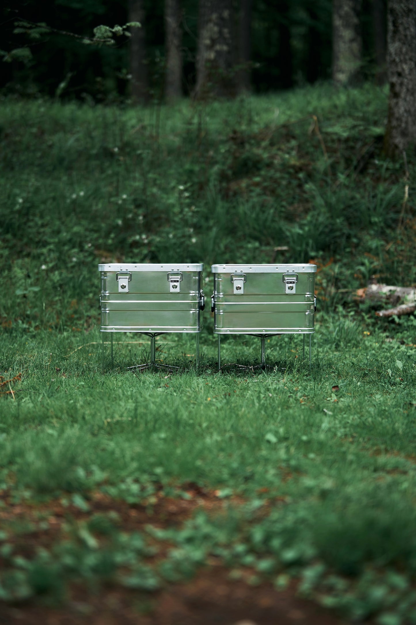 Wanderout / Universal Stand - Silver