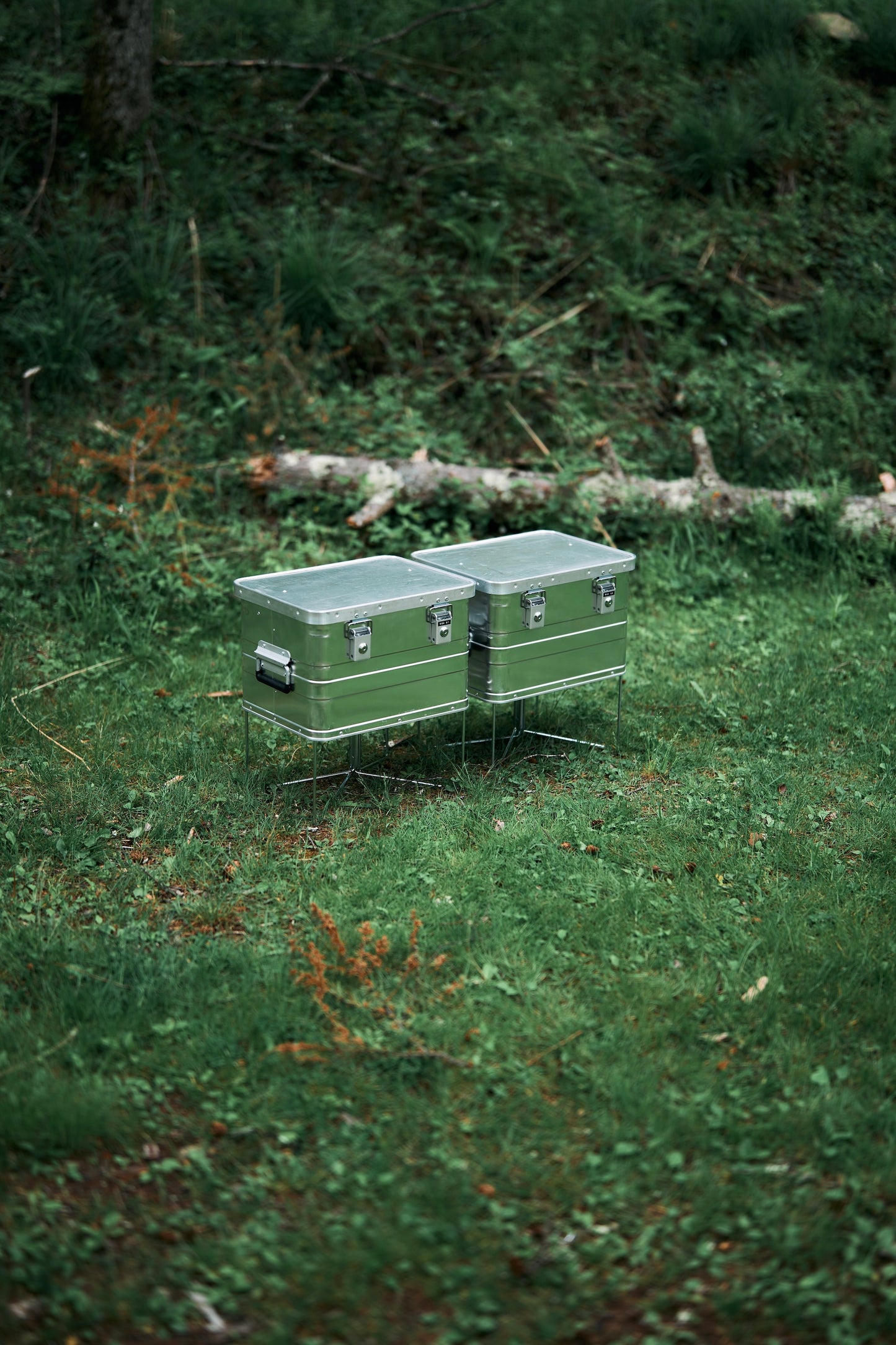 Wanderout / Universal Stand - Silver