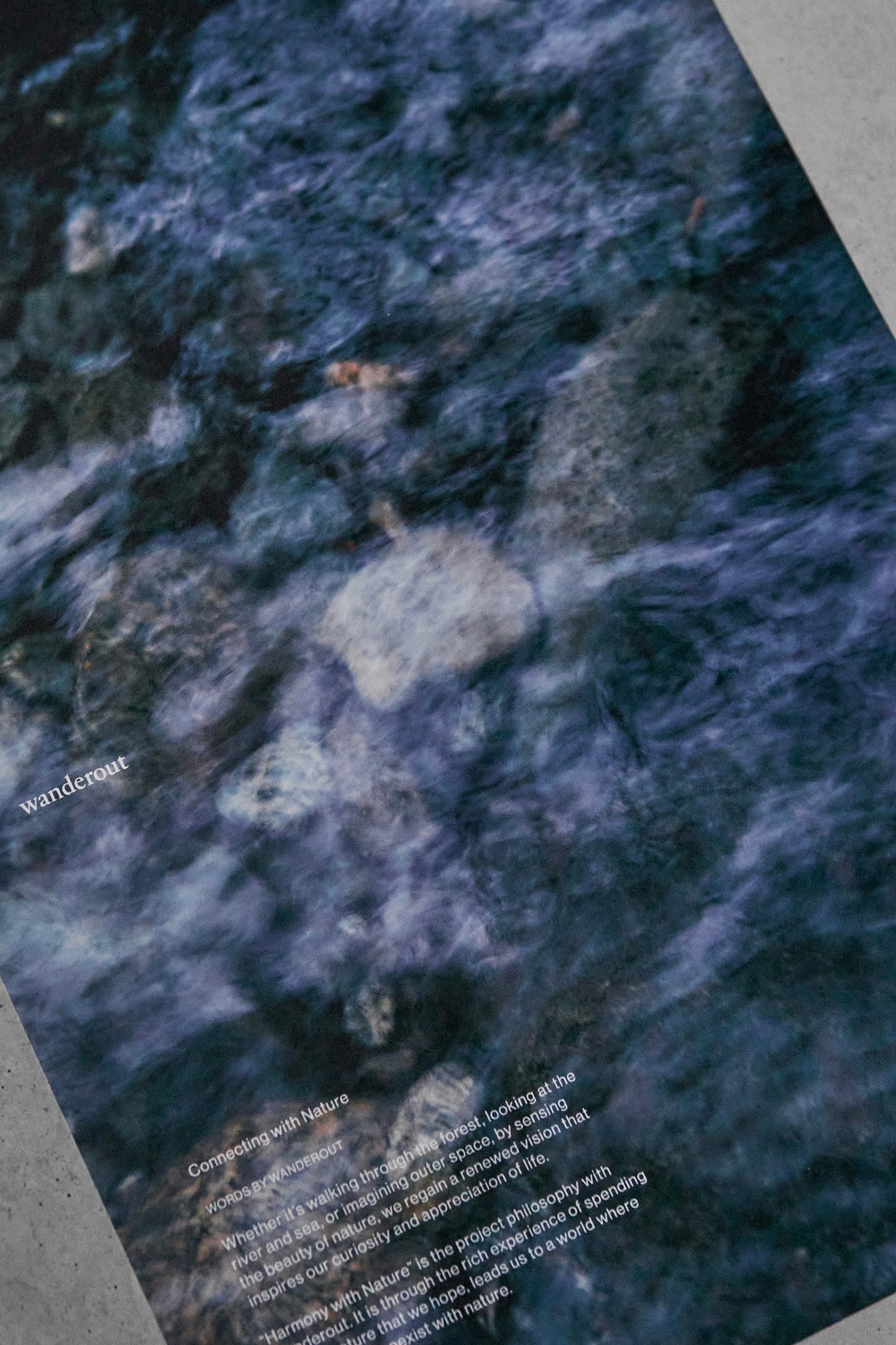 Sort for Wanderout / Limited Edition Poster 2