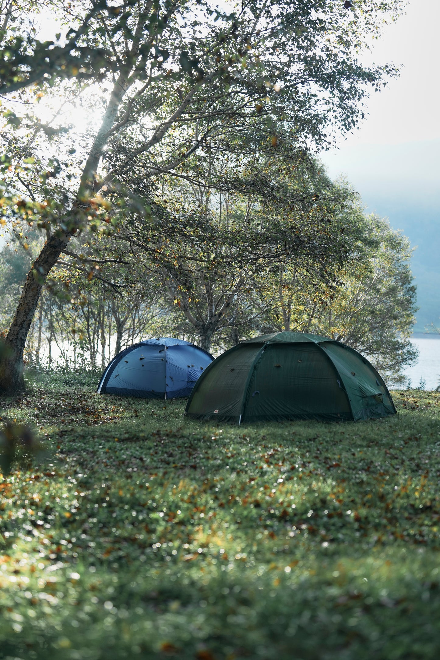 Fjallraven / Abisko Dome 3