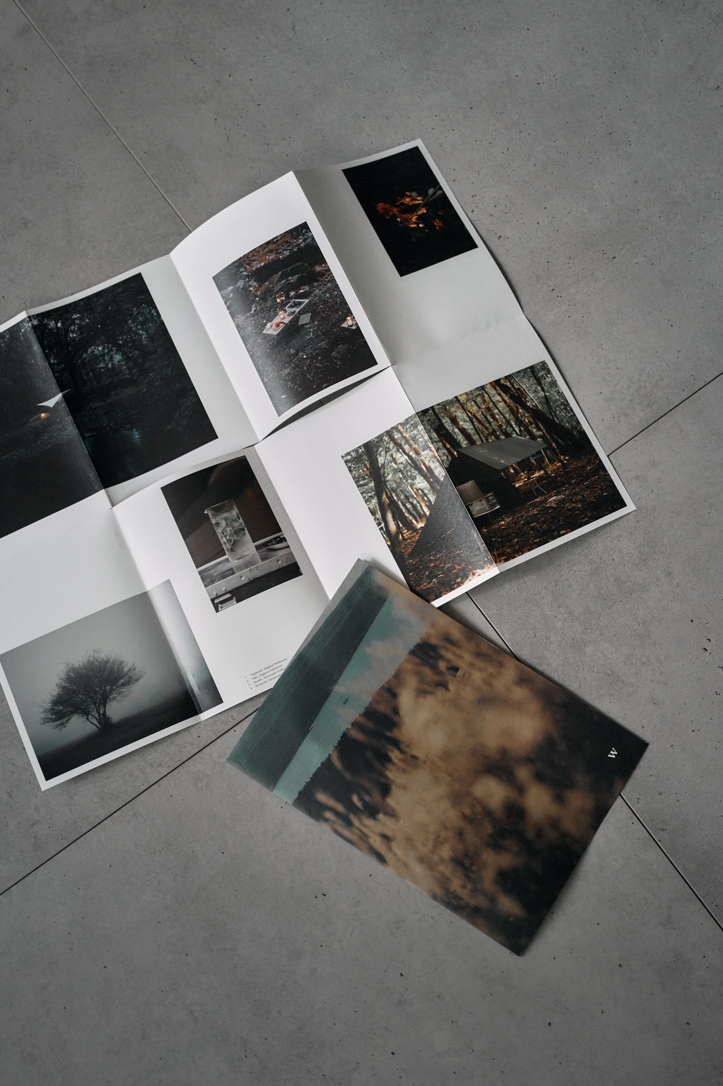 Sort for Wanderout / Rhythm of Nature Zine