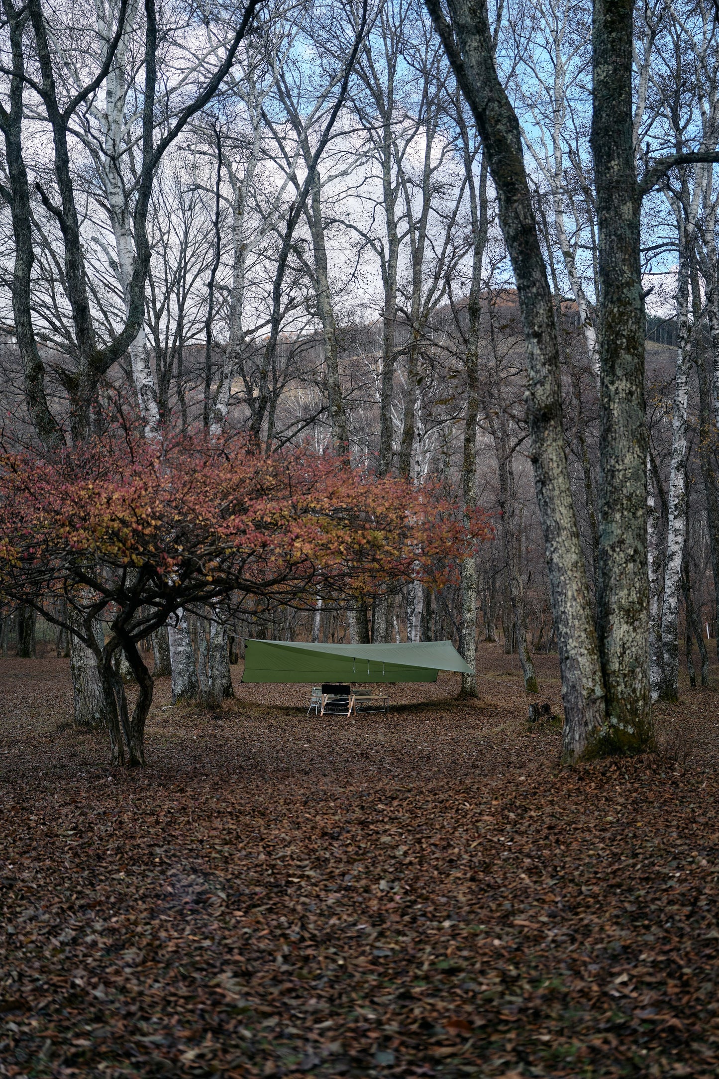 Fjallraven / Abisko Tarp Large