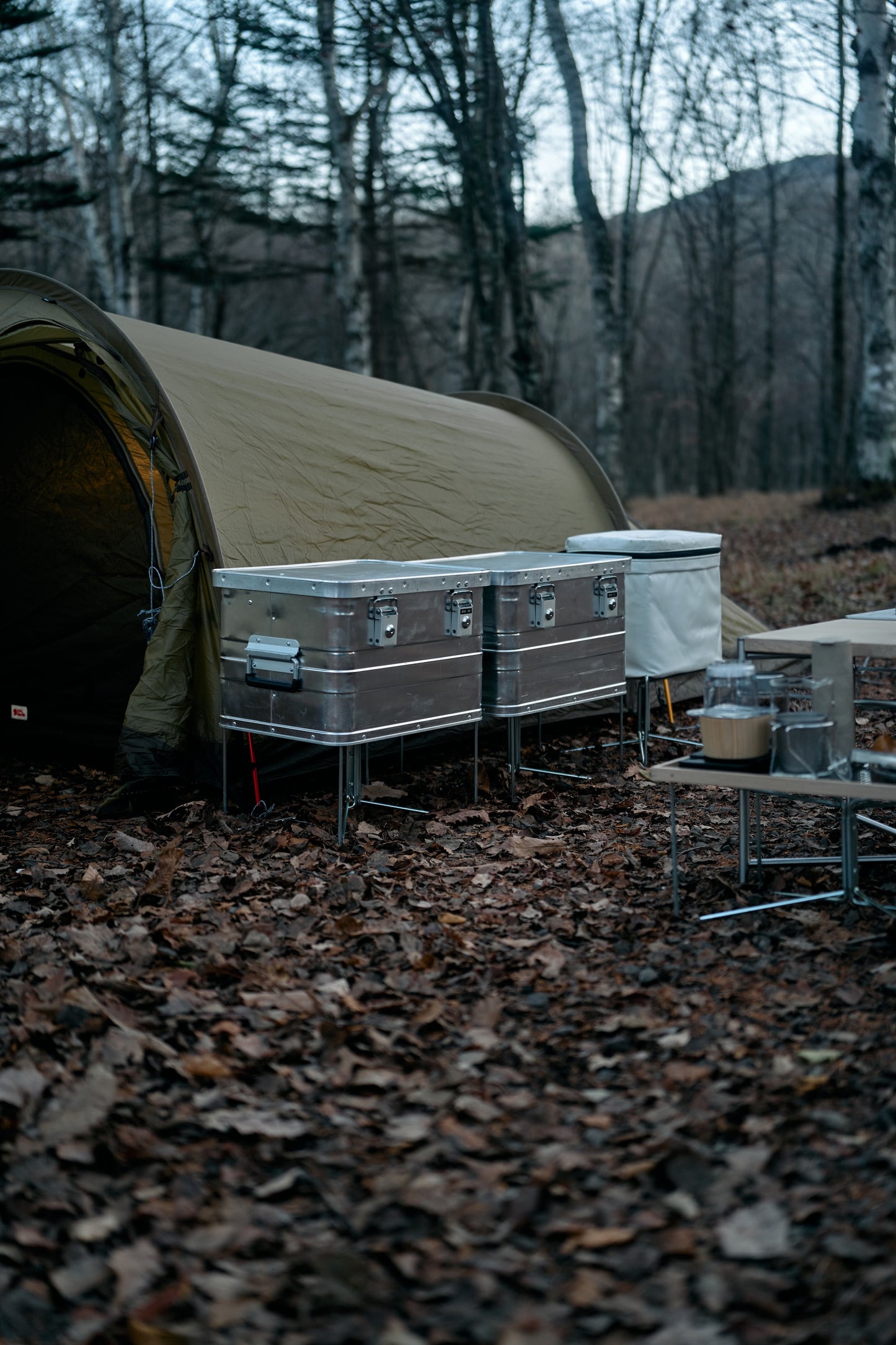 Wanderout / Universal Stand - Silver