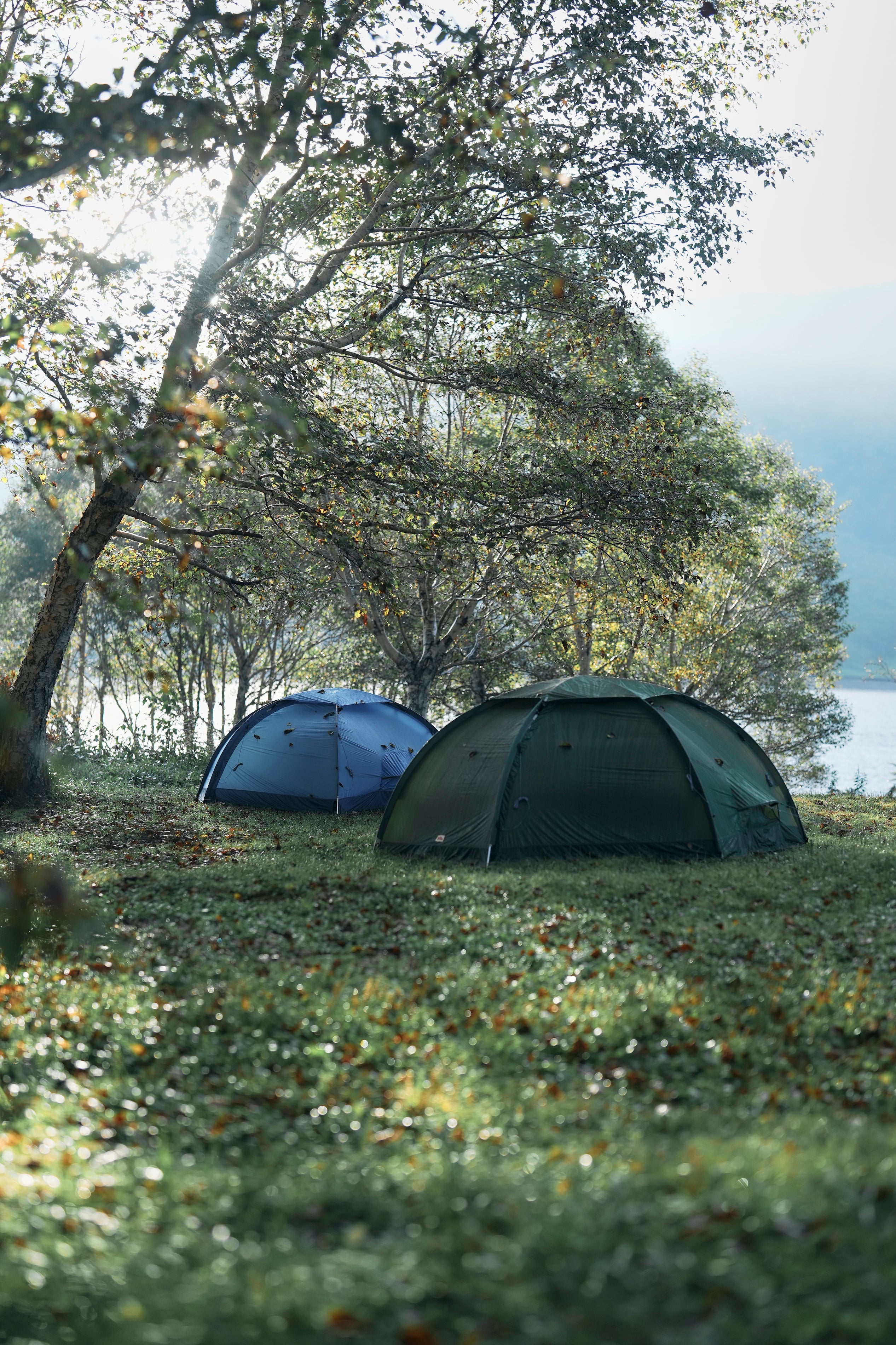 Fjallraven Abisko dome 3 pinegreen